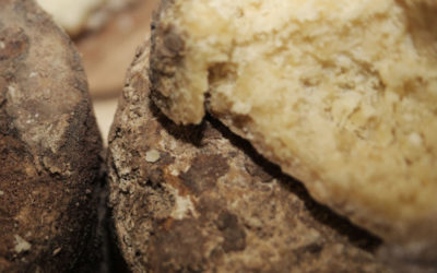 Castelmagno D.O.P.