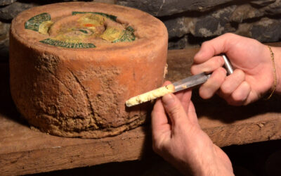 LOU FOURMAGE TRA L’ESTELE, UN’ESPERIENZA  ALLA SCOPERTA DELL’ESSENZA DELLA VALLE GRANA