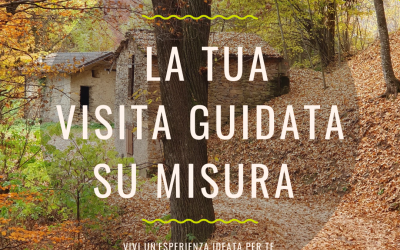 Ecomuseo Terra del Castelmagno propone: “Tracce e forme nel bosco” un laboratorio per osservare e riconoscere le forme e le tracce presenti in natura