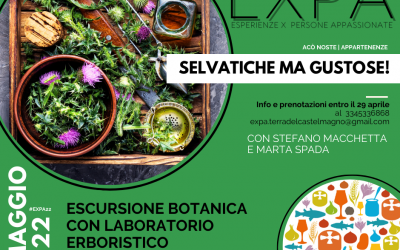 TORNA “SELVATICHE MA GUSTOSE” L’ESCURSIONE BOTANICA SULLA COLLINA DI CERVASCA