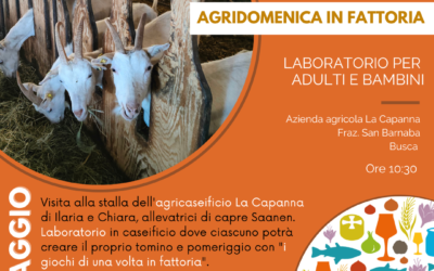 Agridomenica in fattoria