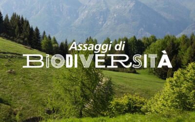 Al via la seconda edizione di Assaggi di Biodiversità