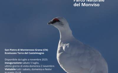 La mostra fotografica “Gli animali di Fulvio Beltrando” al Museo Terra del Castelmagno
