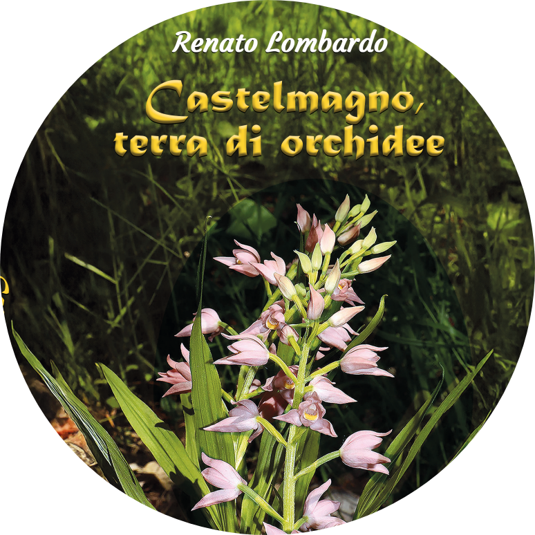 Castelmagno Terra di Orchidee photoaidcom cropped